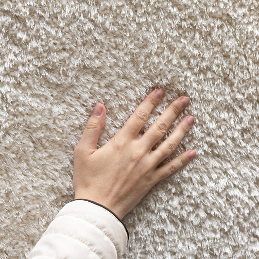 How Often Should You Get Your Carpets Professionally Cleaned?